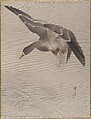 Duck, Watanabe Seitei  Japanese, Album leaf; ink and color on silk, Japan