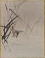 Bird Catching Fish Among Reeds, Watanabe Seitei  Japanese, Album leaf; ink and color on silk, Japan