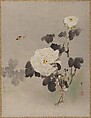 Roses, Young Bird and a Butterfly, Watanabe Seitei  Japanese, Album leaf; ink and color on silk, Japan