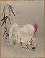 Rooster and Hen with Chicks, Watanabe Seitei  Japanese, Album leaf; ink and color on silk, Japan