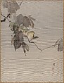 Birds on a Branch, Watanabe Seitei  Japanese, Album leaf; ink and color on silk, Japan