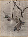 Ducks in the Rushes, Watanabe Seitei  Japanese, Album leaf; ink and color on silk, Japan