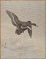 Flying Goose, Watanabe Seitei  Japanese, Album leaf; ink and color on silk, Japan