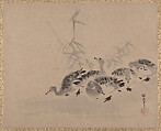 Ducks and Reeds, Kano Tan'yū  Japanese, Album leaf; ink on paper, Japan