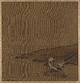 Bird Near Water (from Album of Studies by Modern Artists, no. 62), Unidentified artist, Albun leaf; ink and color on silk, China