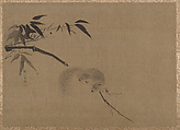 Squirrel on Bamboo, Kano Tan'yū  Japanese, Album leaf; ink and color on silk, Japan