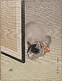 Cat Watching a Spider, Oide Tōkō  Japanese, Album leaf; ink and color on silk, Japan