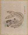 Eels, Seki Shūkō  Japanese, Album leaf; silk, Japan