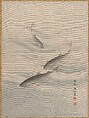Fishes Swimming, Seki Shūkō  Japanese, Album leaf; ink and color silk, Japan