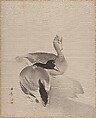 Pair of Ducks, Kawabata Gyokushō Japanese, Album leaf; silk, Japan