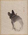 Cat Seen from Behind, Kawabata Gyokushō Japanese, Album leaf; ink and color on silk, Japan
