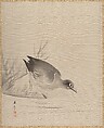 Bird at the Water's Edge, Kawabata Gyokushō Japanese, Album leaf; silk, Japan