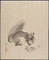 Squirrel Eating Chestnuts, Kawabata Gyokushō Japanese, Album leaf; ink on silk, Japan