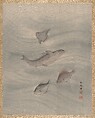 Fishes, Seki Shūkō  Japanese, Album leaf; silk, Japan