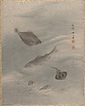 Fishes, Seki Shūkō  Japanese, Album leaf; silk, Japan