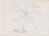 Flower, Plant and Landscape Sketches from Life, Xie Zhiliu  Chinese, One bound, navy fabric-covered volume; ink, pencil on paper, China