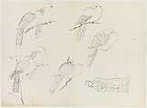 Birds and Human Figure, Xie Zhiliu Chinese, Drawing; ink on tracing paper, China