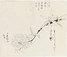 Flower, Xie Zhiliu  Chinese, Drawing; ink on paper, China