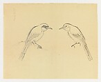 Mirror-images of a Bird, Xie Zhiliu  Chinese, Two-sided drawing; pencil and ink on paper and ink on paper, China