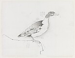 Duck, Xie Zhiliu Chinese, Drawing; ink and charcoal on paper, China