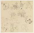 Plants, Flowers, and Birds, Xie Zhiliu  Chinese, Drawing; ink on paper, China