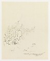 Flowering Plants, Cat and Three Kittens, Xie Zhiliu  Chinese, Drawing; ink on paper, China