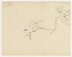Bird on a Branch, Xie Zhiliu Chinese, Drawing; pencil and ink over pencil on paper, China