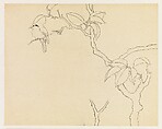 Bird on a Branch, Xie Zhiliu Chinese, Drawing; pencil and ink on paper, China