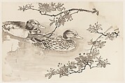 Ducks and Blossoming Branches, Xie Zhiliu  Chinese, Drawing; pencil and ink on paper, China