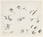 Birds' Feet, Xie Zhiliu Chinese, Drawing; ink on paper, China