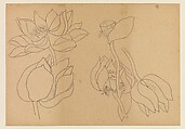 Lotus Studies, Xie Zhiliu (Chinese, 1910–1997), Drawings from a set of eighteen sheets; pencil and ink on paper, China