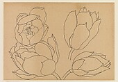 Lotus Studies, Xie Zhiliu (Chinese, 1910–1997), Drawings from a set of eighteen sheets; pencil and ink on paper, China