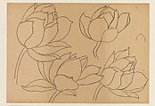 Lotus Studies, Xie Zhiliu (Chinese, 1910–1997), Drawings from a set of eighteen sheets; pencil and ink on paper, China