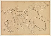 Lotus Studies, Xie Zhiliu (Chinese, 1910–1997), Drawings from a set of eighteen sheets; pencil and ink on paper, China