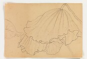 Lotus Studies, Xie Zhiliu (Chinese, 1910–1997), Drawings from a set of eighteen sheets; pencil and ink on paper, China