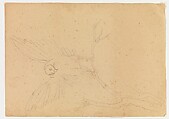 Lotus Studies, Xie Zhiliu (Chinese, 1910–1997), Drawings from a set of eighteen sheets; pencil and ink on paper, China