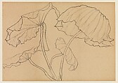 Lotus Studies, Xie Zhiliu (Chinese, 1910–1997), Drawings from a set of eighteen sheets; pencil and ink on paper, China