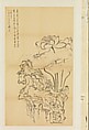 Lotus and Rock, after Chen Hongshou, Xie Zhiliu Chinese, Drawing mounted as a hanging scroll; ink on tracing paper, China