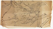 Bird on a Branch, Xie Zhiliu Chinese, Unmounted drawing; ink on cellophane, China