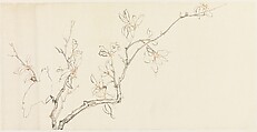Bird on a Branch, Xie Zhiliu Chinese, Drawing; ink on paper, China