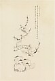 Blossoming Plum, after Chen Hongshou, Xie Zhiliu Chinese, Drawing mounted as a hanging scroll; ink on paper, China