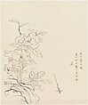 Camellia and Rock, after Chen Hongshou, Xie Zhiliu  Chinese, Drawing mounted as a hanging scroll; ink on paper, China