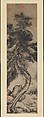 Dragon pine, Wu Boli (Chinese, active late 14th–early 15th century), Hanging scroll; ink on paper, China