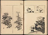 One Hundred Paintings of the Ogata Lineage (Ogata ryu hyakuzu), Nakano Kimei (Japanese, 1834–1892), Set of two Woodblock printed books; ink on paper, Japan