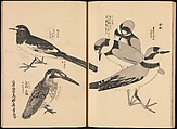 One Hundred Paintings of the Ogata Lineage (Ogata ryu hyakuzu), Nakano Kimei (Japanese, 1834–1892), Set of two Woodblock printed books; ink on paper, Japan