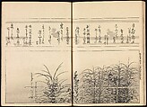 One Hundred Paintings of the Ogata Lineage (Ogata ryu hyakuzu), Nakano Kimei (Japanese, 1834–1892), Set of two Woodblock printed books; ink on paper, Japan