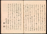 Mirror of Genuine Work of Monk Hōitsu (Hōitsu shōnin shinseki kagami), Ikeda Koson (Japanese, 1803–1868), Set of two woodblock printed books; ink and color on paper, Japan