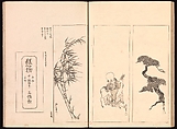 Mirror of Genuine Work of Monk Hōitsu (Hōitsu shōnin shinseki kagami), Ikeda Koson (Japanese, 1803–1868), Set of two woodblock printed books; ink and color on paper, Japan