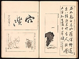 Mirror of Genuine Work of Monk Hōitsu (Hōitsu shōnin shinseki kagami), Ikeda Koson (Japanese, 1803–1868), Set of two woodblock printed books; ink and color on paper, Japan