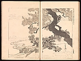 Mirror of Genuine Work of Monk Hōitsu (Hōitsu shōnin shinseki kagami), Ikeda Koson (Japanese, 1803–1868), Set of two woodblock printed books; ink and color on paper, Japan